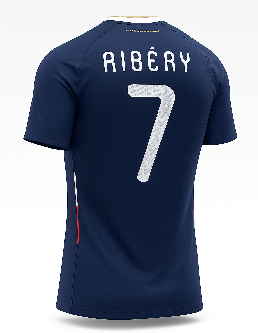 2010 France Home Ribery #22