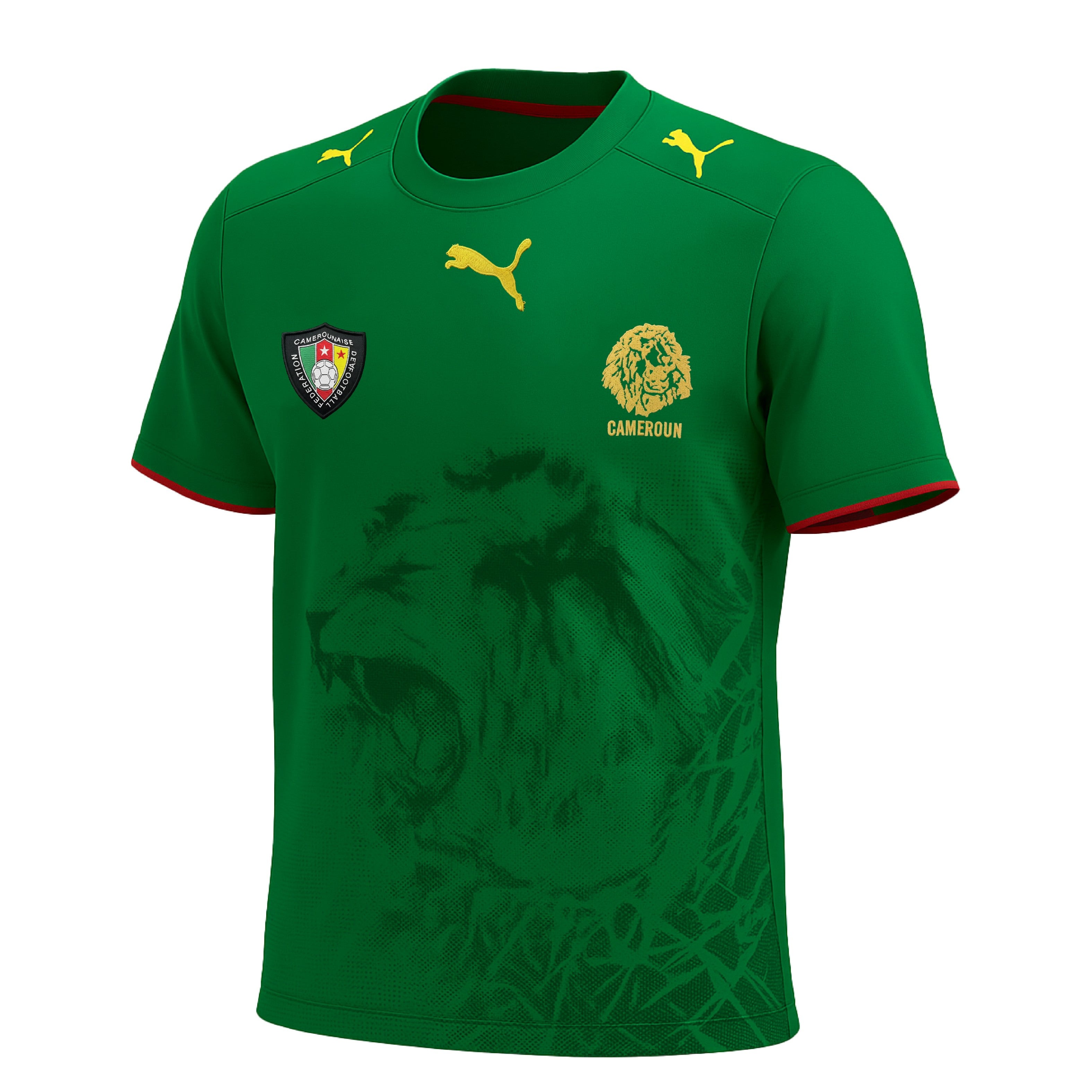 Cameroon 1997-1998 Home