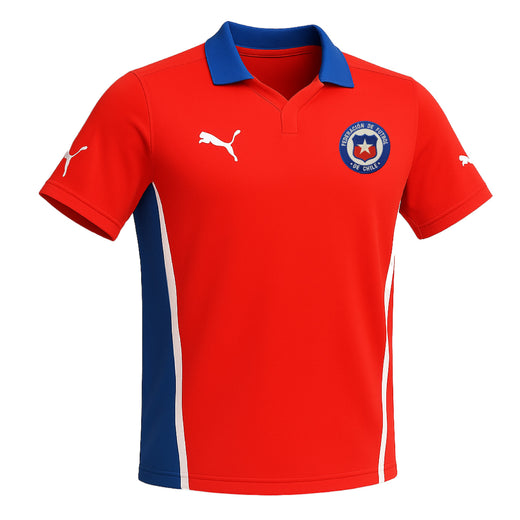 Chile 2013-2014 Home