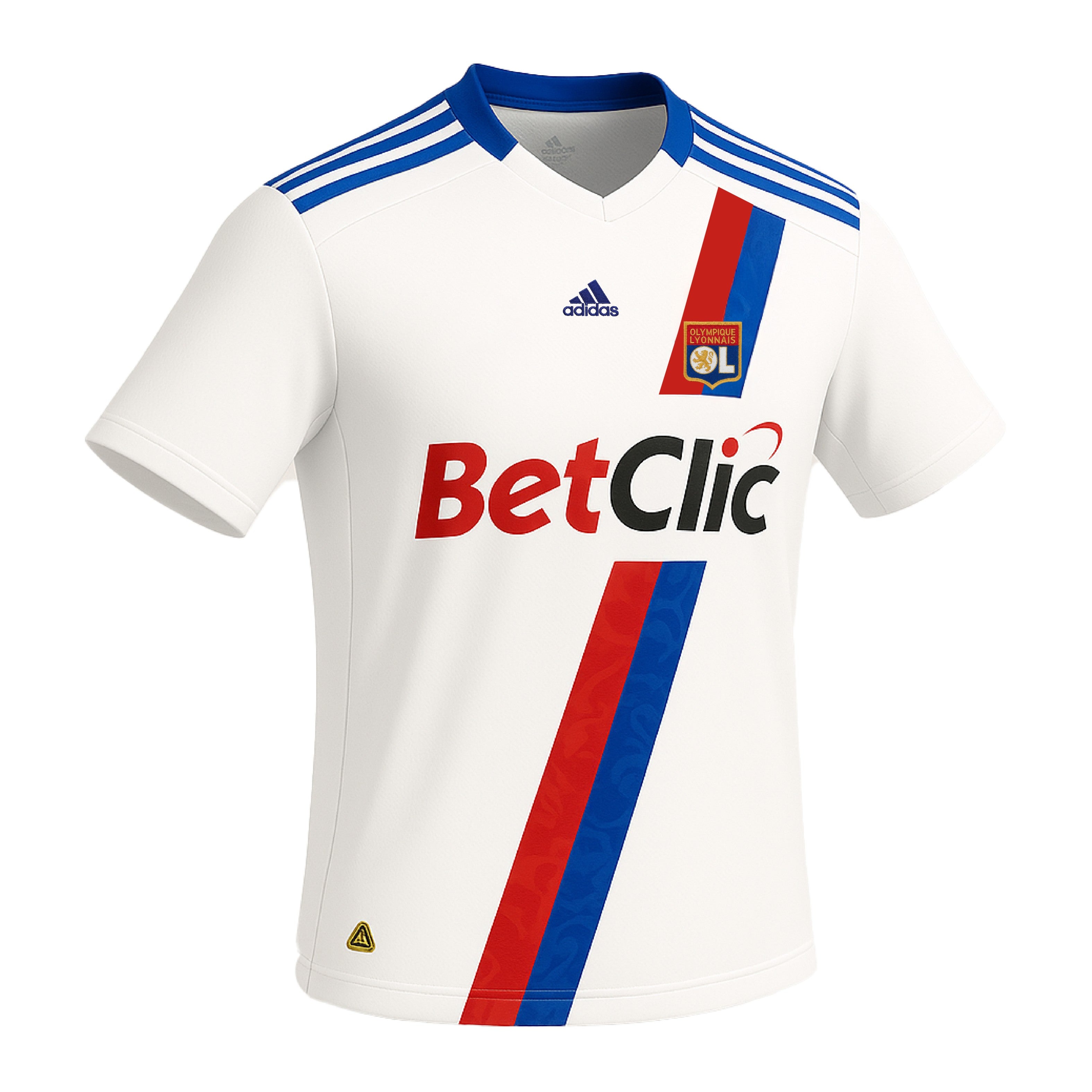 Lyon 2010-2011 Home